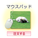 �}�E�X�p�b�h