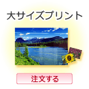 ��T�C�Y�v�����g