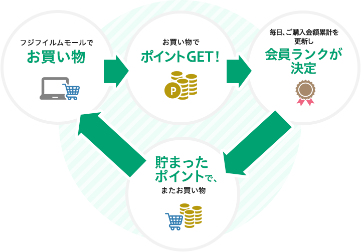 フジフイルムモール「会員ランク&ポイント制度」