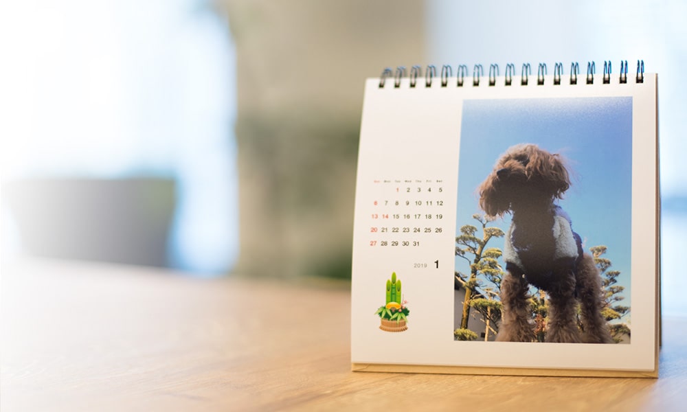 「いつも近くで応援してくれてるんです」 ビジネスシーンに癒やしを運ぶ愛犬写真のフォトカレンダー