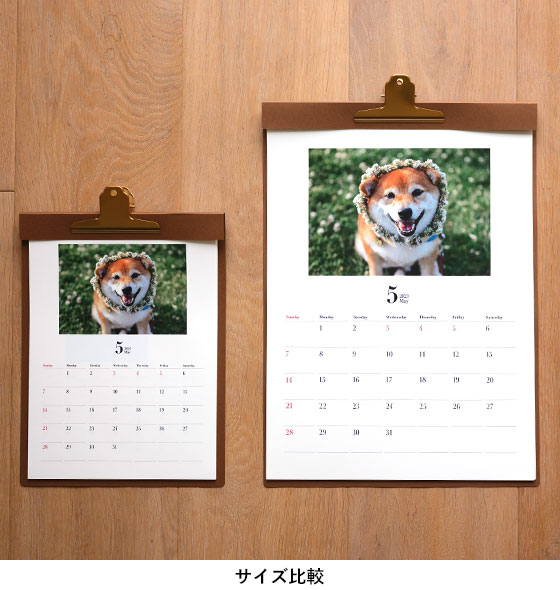 壁掛けカレンダー シートタイプ 縦 印刷仕上げ 富士フイルムのフォトカレンダー23