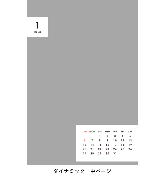 ダイナミック 中ページ