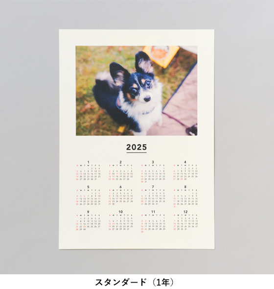 ポスター A4縦／横 スタンダード（1年）