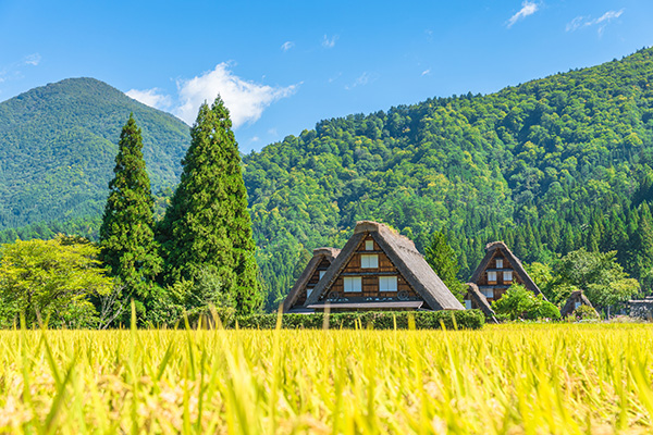 Nông thôn Nhật Bản mang đến cho chúng ta sự yên tĩnh, thú vị và dễ chịu một cách khác biệt so với nhịp sống ồn ã của các đô thị lớn.
