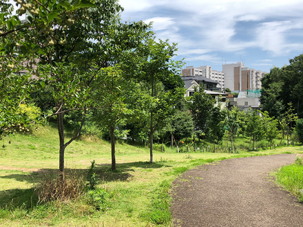 一生ものの風景を手の中に スマホで切りとる ステキな風景 Fujifilm スマホ写真センスアップ術 富士フイルム