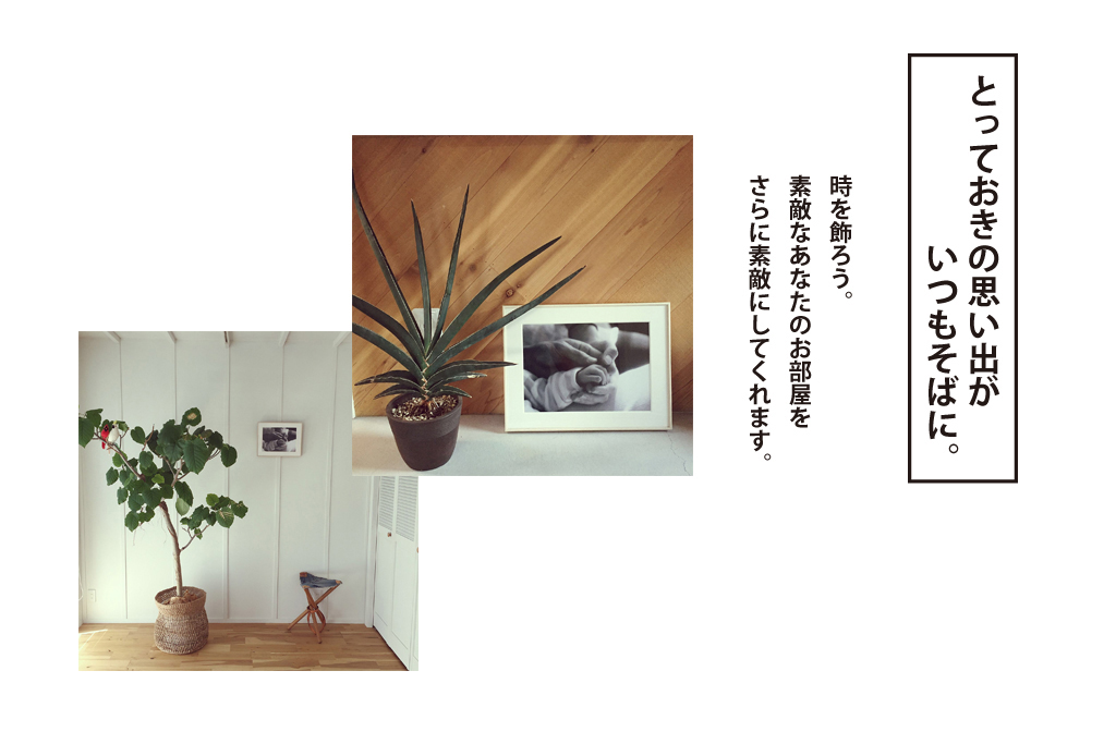 年賀状の写真で